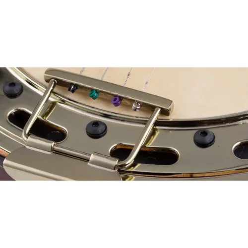 BANJO ROZINI RJ12ELNJ PROFISSIONAL NAT