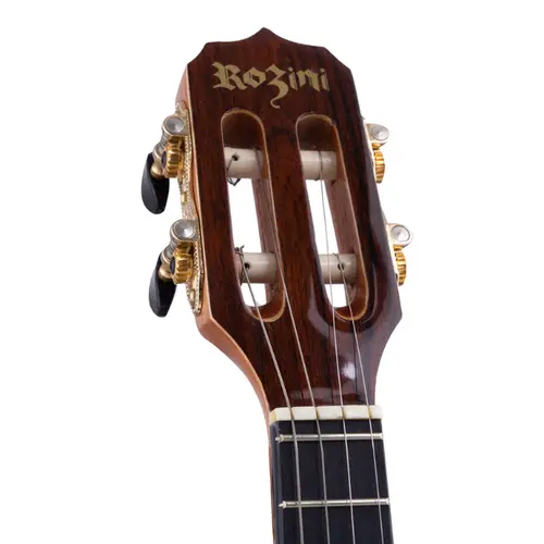BANJO ROZINI RJ12ELNJ PROFISSIONAL NAT