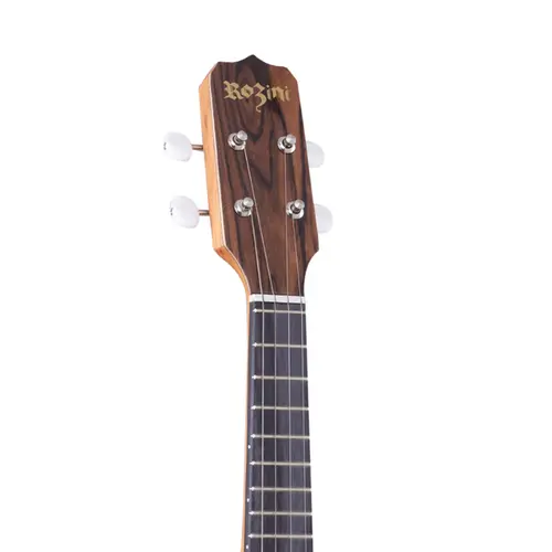 BANJO ROZINI RJ14ATFI ESTUDANTE FOSCO IMBUIA