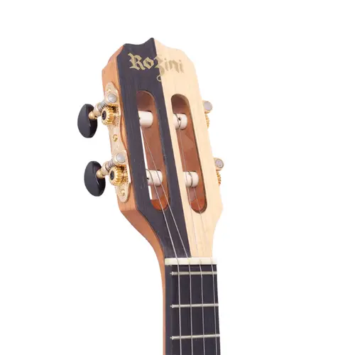 BANJO ROZINI RJ17ATF SHOW FOSCO GC2