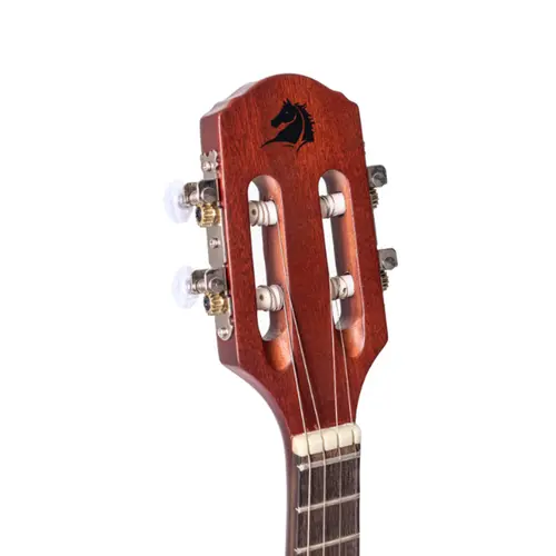 BANJO MARQUES BAJ87CTSAC CASTANHO