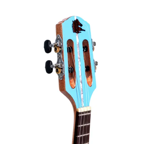 BANJO PASSIVO MARQUES BAJ88BLEL AZUL