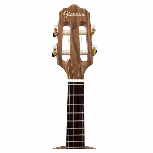 CAVACO ACUSTICO GIANNINI CS8 PAFE NG CADENCIA