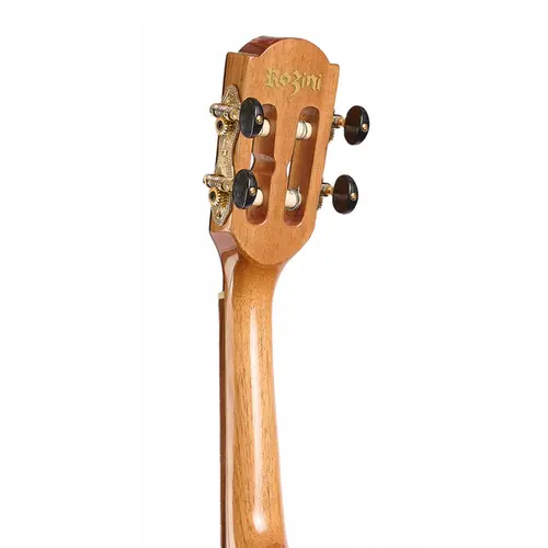CAVACO ACUSTICO ROZINI RC23ACNCD VIRTUOSO CEDRO CANADENSE