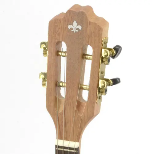 CAVACO ACUSTICO STRINBERG CS25N