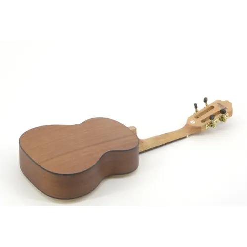 CAVACO ACUSTICO VOGGA VCC620 MS