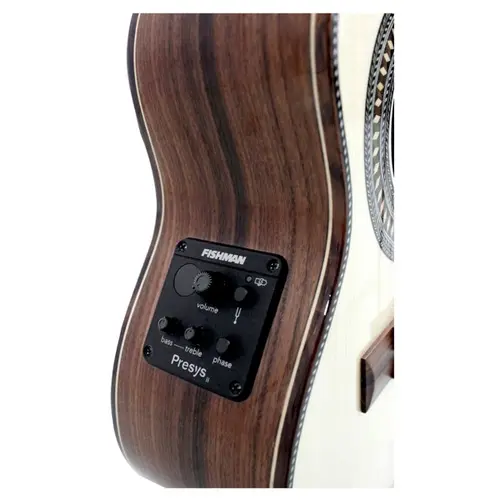 CAVACO ELETRICO GIANNINI CS8 PAFE CADENCIA NG FISHMAN