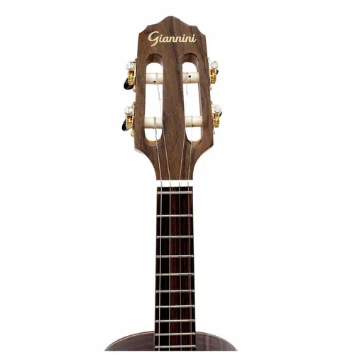 CAVACO ELETRICO GIANNINI CS9 LRPT CADENCIA NG FISHMAN
