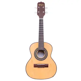 CAVACO ELETRICO ROZINI RC09ELFI ESTUDANTE FOSCO IMBUIA
