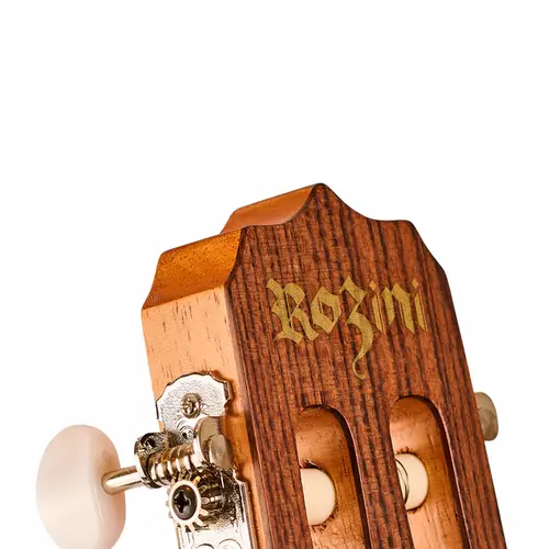 CAVACO ELETRICO ROZINI RC19EGCFCD ZE CAVAQUINHO
