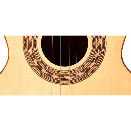 CAVACO ELETRICO ROZINI RC19EGCFCD ZE CAVAQUINHO