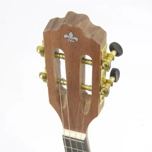 CAVACO ELETRICO STRINBERG CS25E MGS C/CAPA