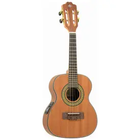 CAVACO ELETRICO STRINBERG CS25E MGS C/CAPA