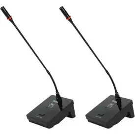 MICROFONE S/FIO GOOSENECK DUPLO DYLAN UDX33