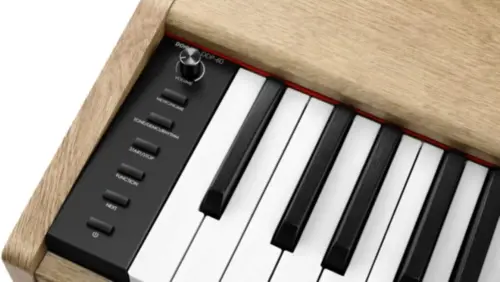 PIANO DIGITAL DONNER DDP60LW