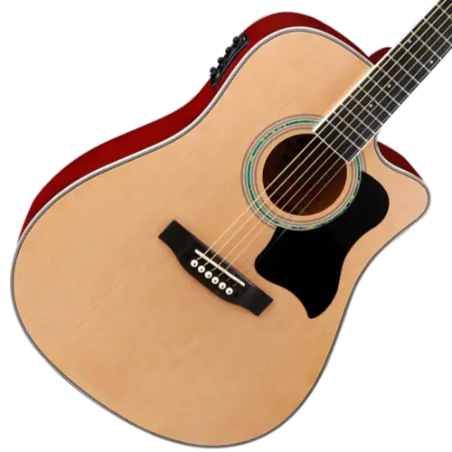 VIOLAO FOLK VOGGA VCS260 AUDIENCE NAT