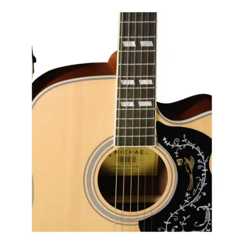 VIOLAO FOLK MICHAEL VMF420 ST