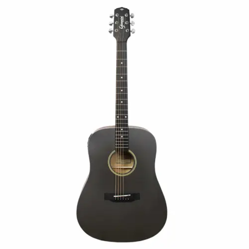 VIOLAO FOLK GIANNINI GD1EQCTJ