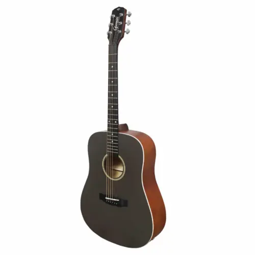 VIOLAO FOLK GIANNINI GD1EQCTJ