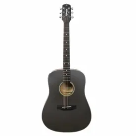 VIOLAO FOLK GIANNINI GD1EQCTJ