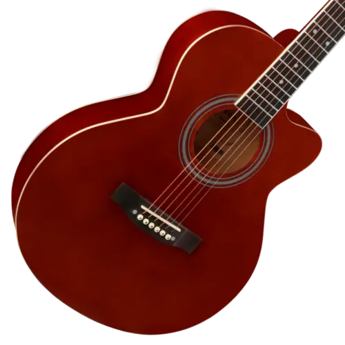 VIOLAO CLASSICO ACO VOGGA VCA39 CF