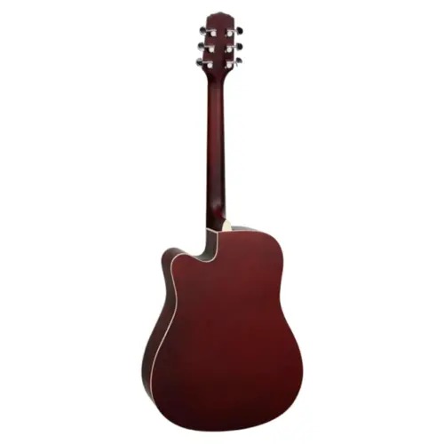 VIOLAO FOLK GIANNINI GDC1CEQNS
