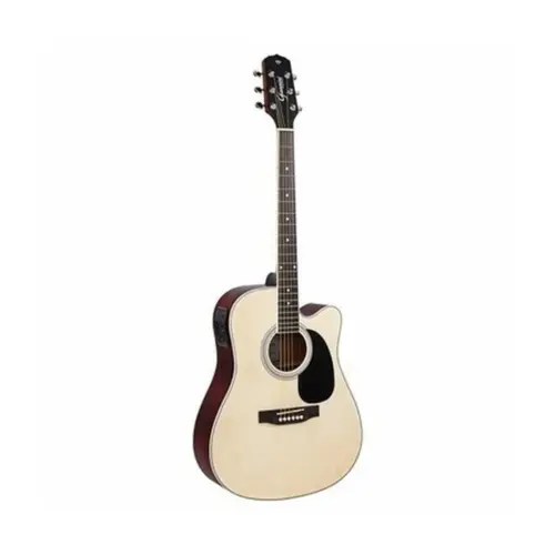 VIOLAO FOLK GIANNINI GDC1CEQNS