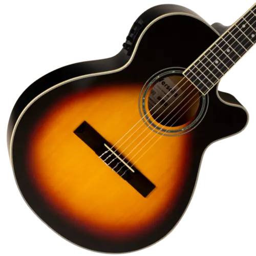 VIOLAO CLASSICO NYLON VOGGA VCP460 VERSALIS SM